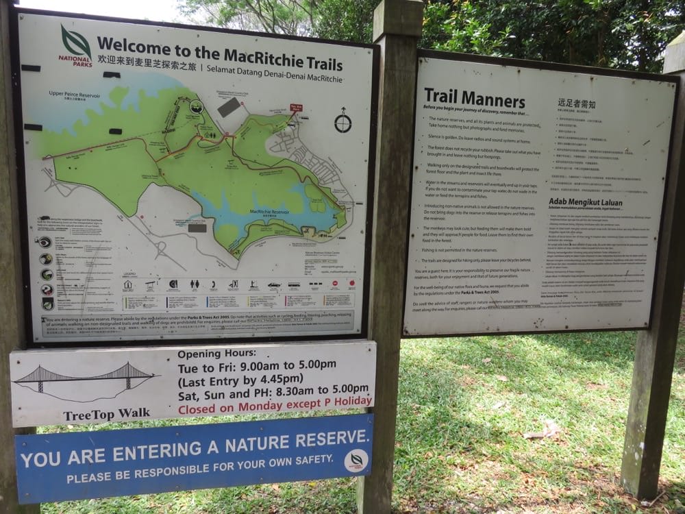 macritchie