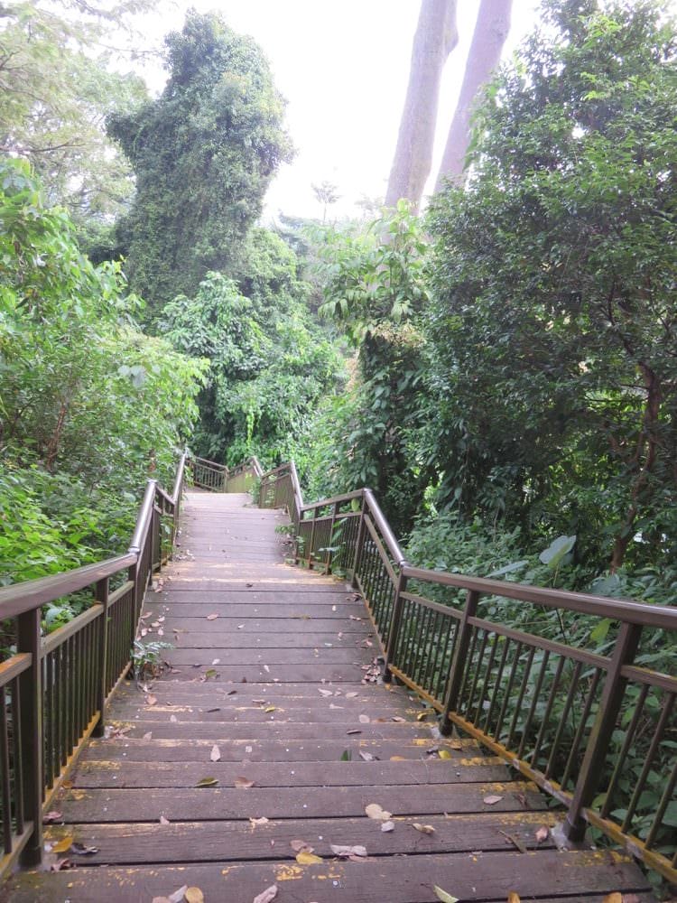 The Southern Ridges 南部山脊