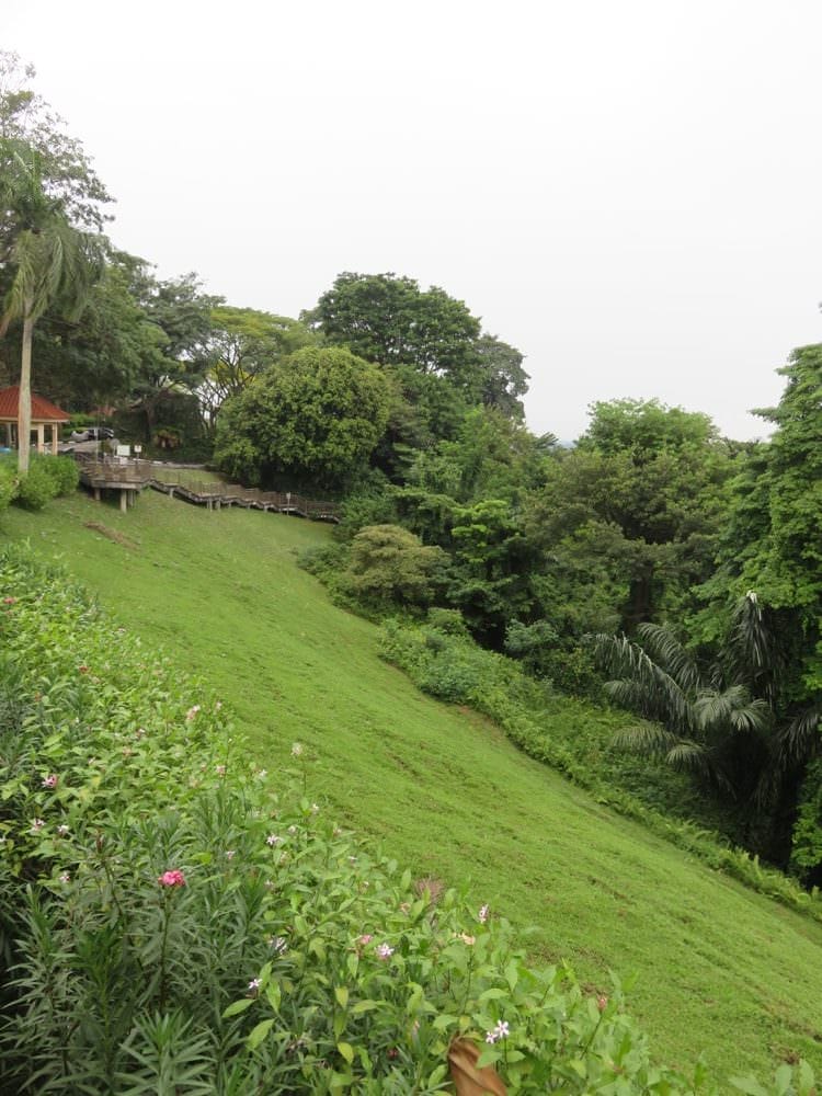 The Southern Ridges 南部山脊