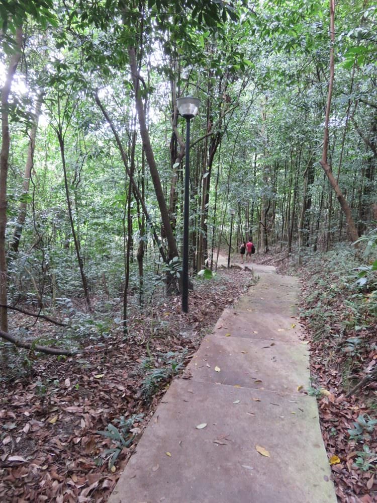 The Southern Ridges 南部山脊