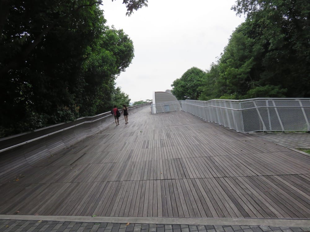 The Southern Ridges 南部山脊