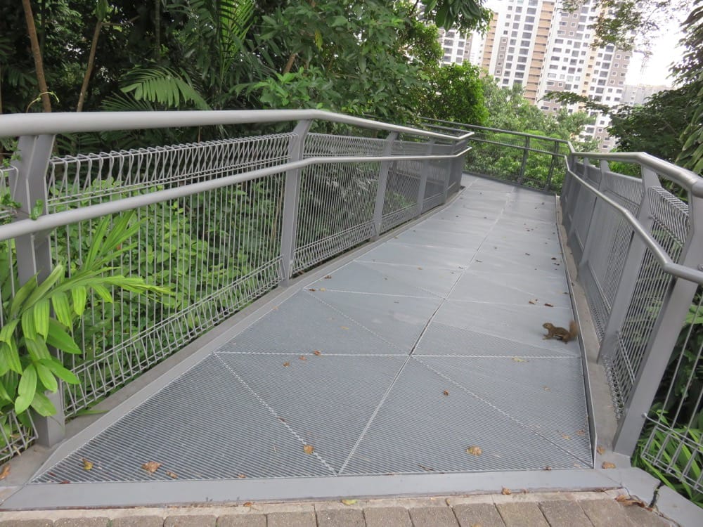 The Southern Ridges 南部山脊