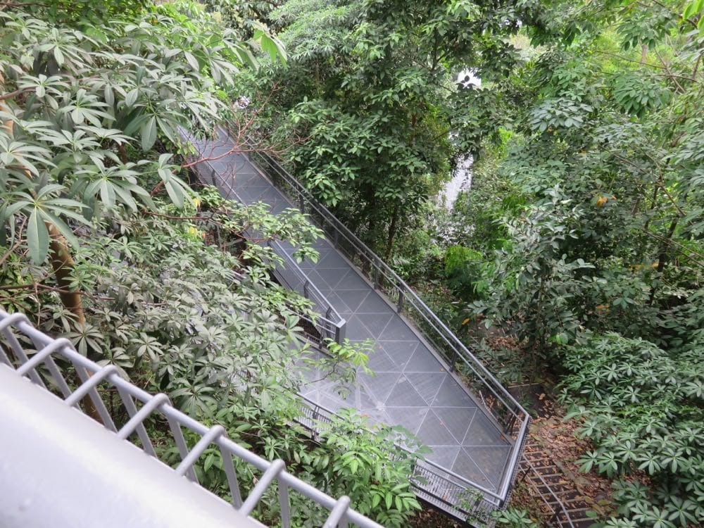 The Southern Ridges 南部山脊