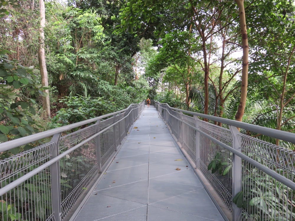 The Southern Ridges 南部山脊