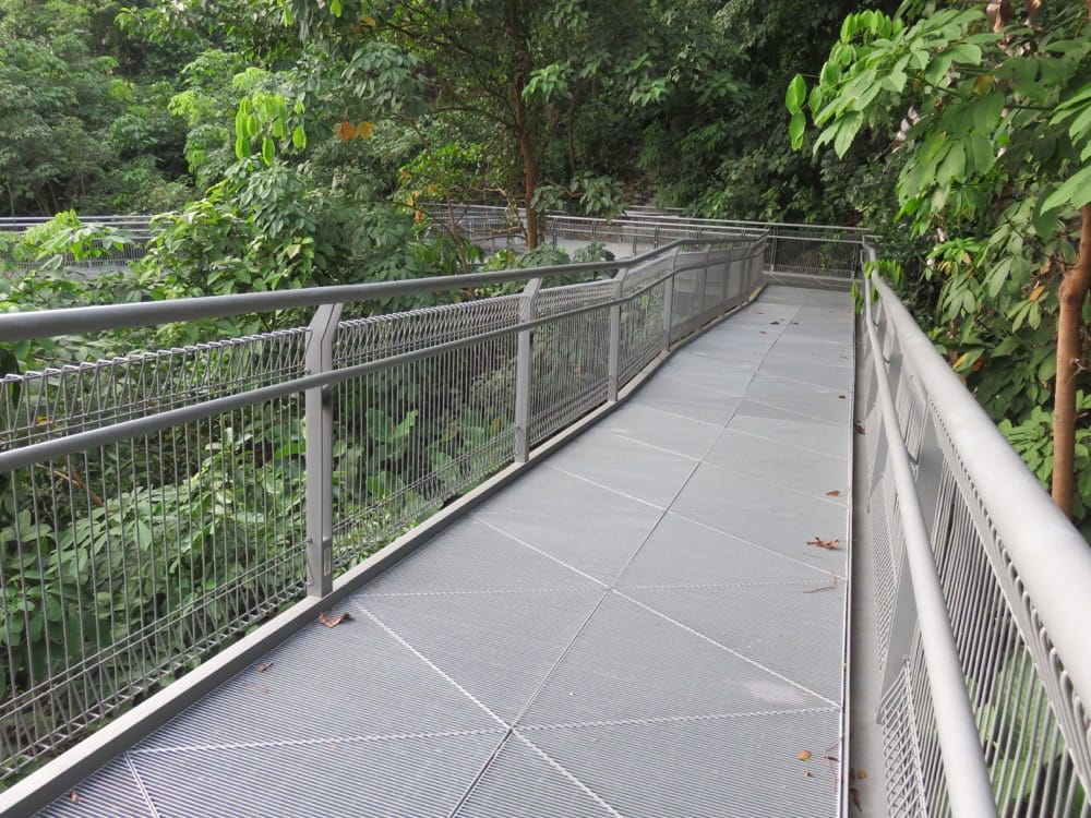 The Southern Ridges 南部山脊