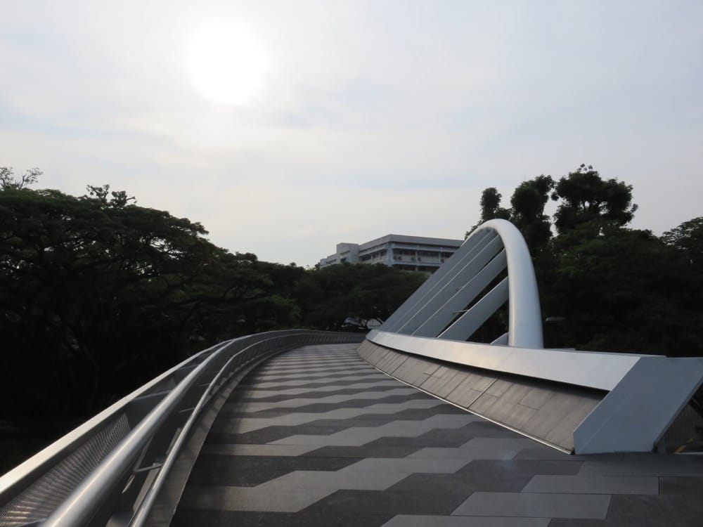 The Southern Ridges 南部山脊