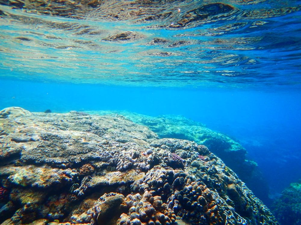 Lanyu 住宿 看海的日子 ocean everyday