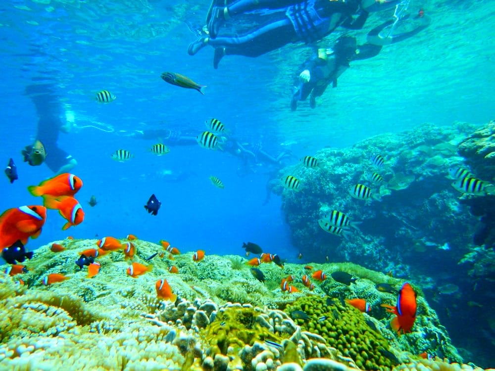 Lanyu 住宿 看海的日子 ocean everyday