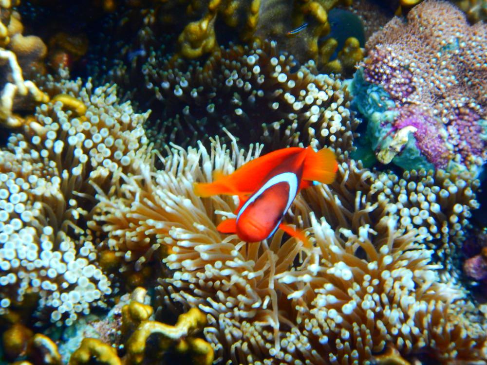 Lanyu 住宿 看海的日子 ocean everyday