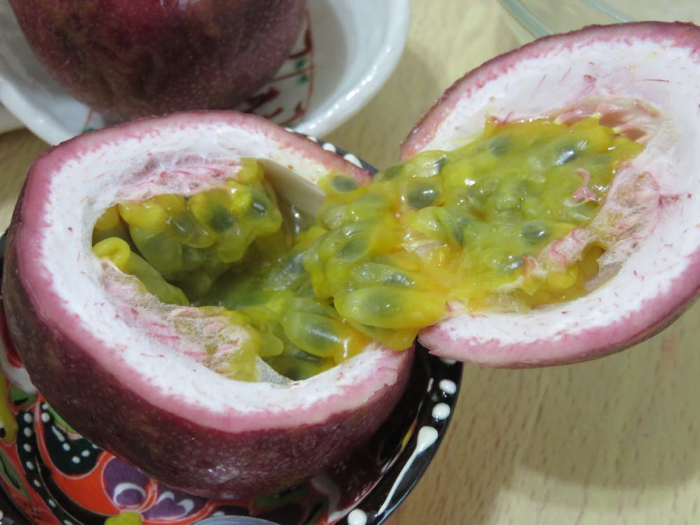 埔里 葡萄香果園