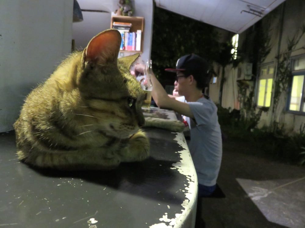 海很藍咖啡 Film Blue Cafe