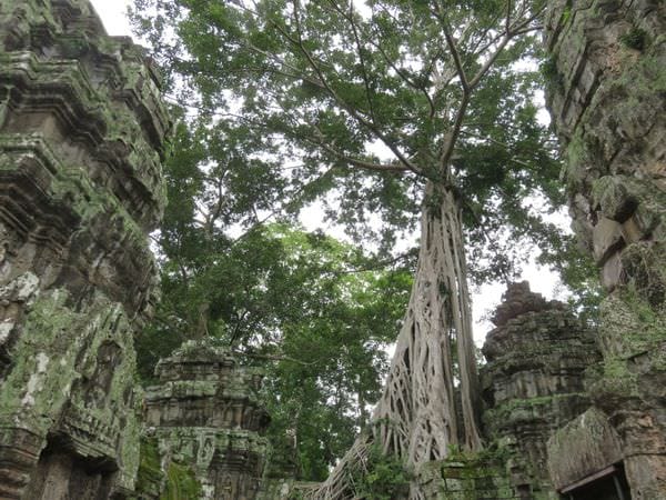 IMG_4587.JPG IMG_4587.JPG