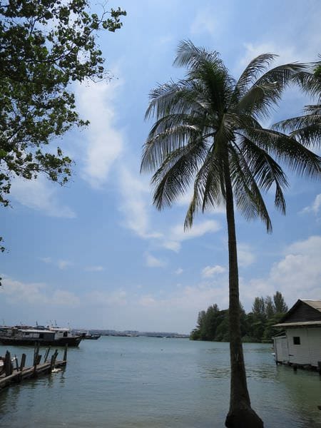 IMG_1776.JPG IMG_1776.JPG