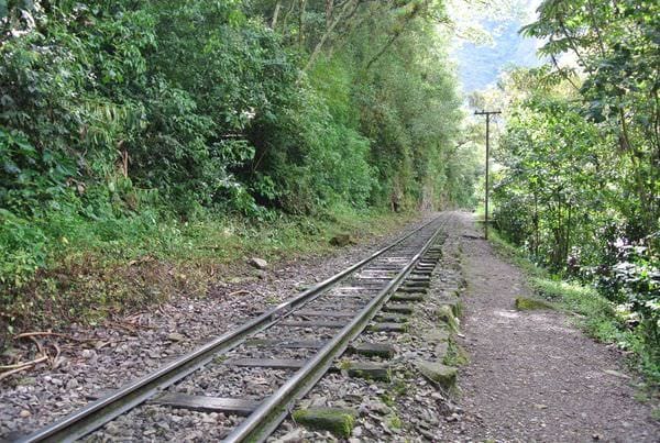 DSC_5659.JPG DSC_5659.JPG