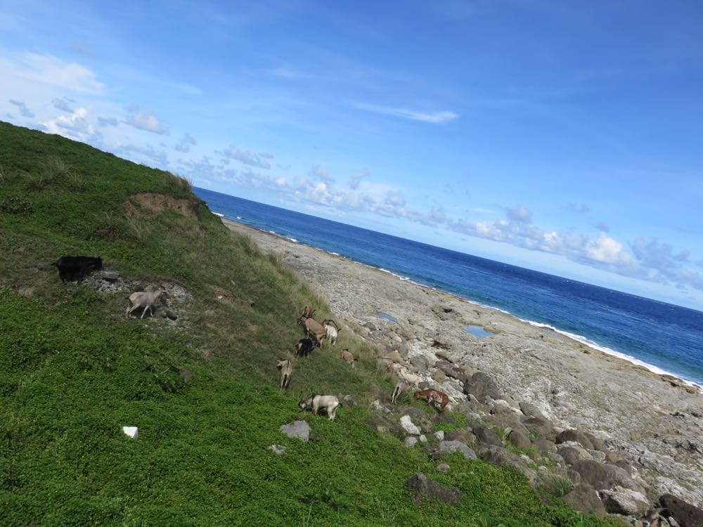 蘭嶼 西部風光 Lanyu 