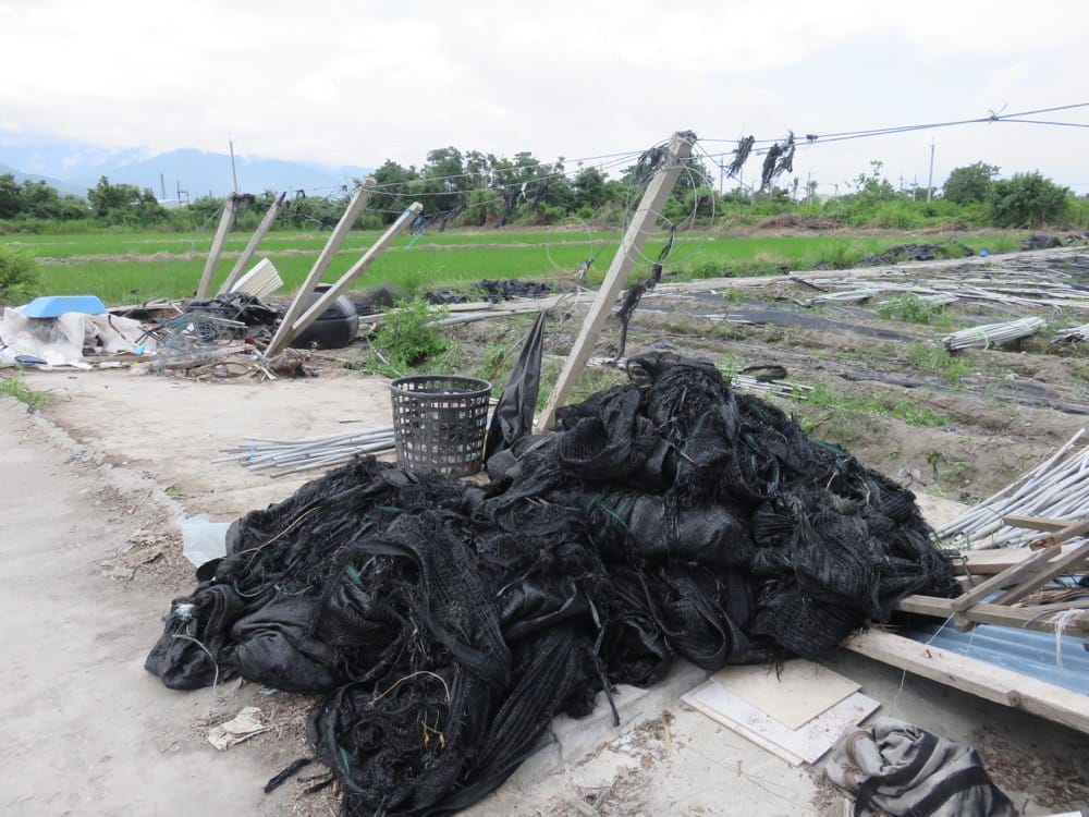 台東孩子的書屋 Kid’s bookhouse 身為農損志工的驕傲 - 第10張圖 台東知本 孩子的書屋