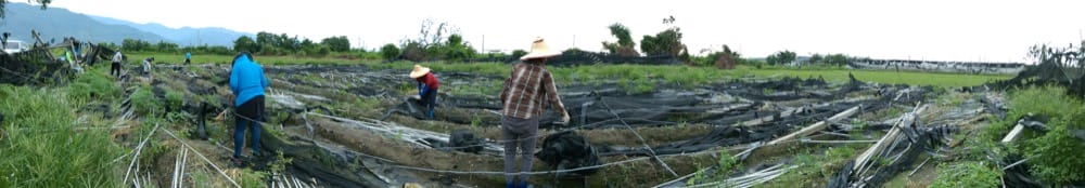 台東孩子的書屋 Kid’s bookhouse 身為農損志工的驕傲 - 第16張圖 台東 孩子的書屋 風災