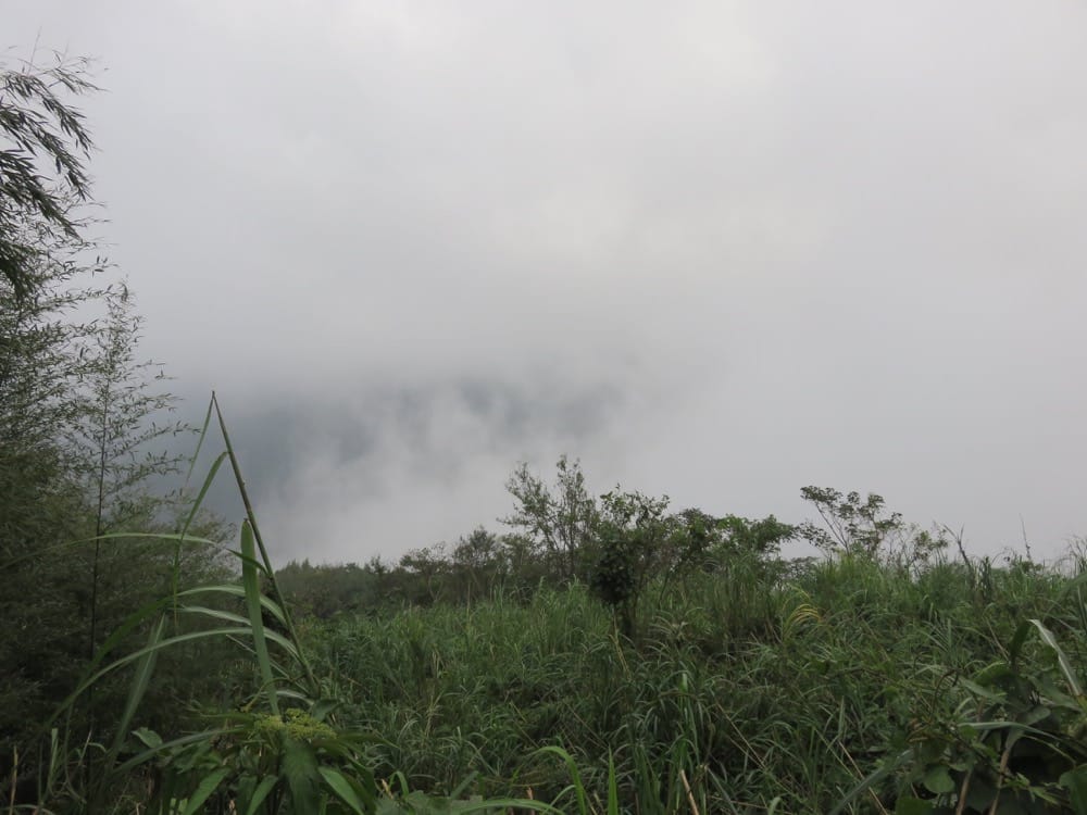 《新竹自由行》薰衣草森林 凌空廊道 粉圓豆花創始店 Lavender Cottage - 第12張圖 凌空廊道