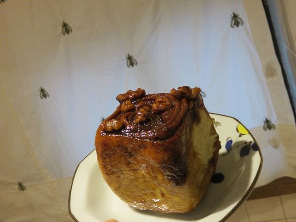 IMG_8000.jpg IMG_8000.jpg