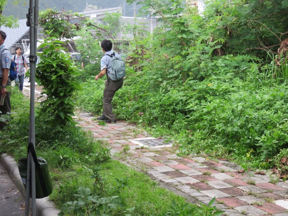 太魯閣峽谷音樂節