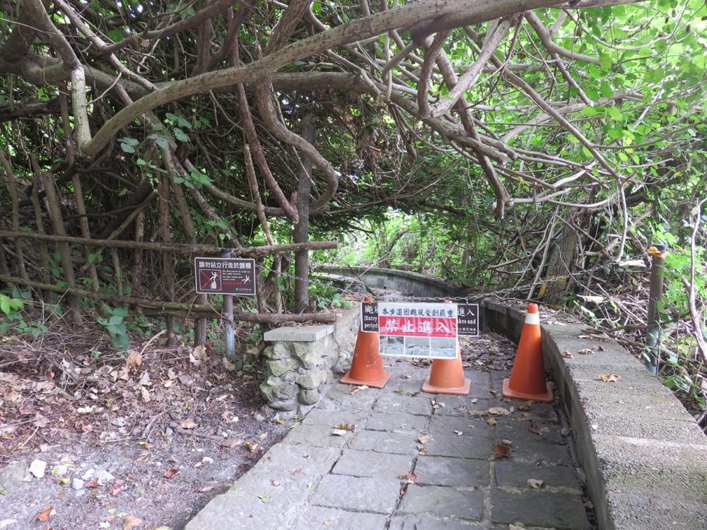 《花蓮吃冰》佳興冰果室 太魯閣清水斷崖 Taroko with lemon juice - 第8張圖 img_6917-copy