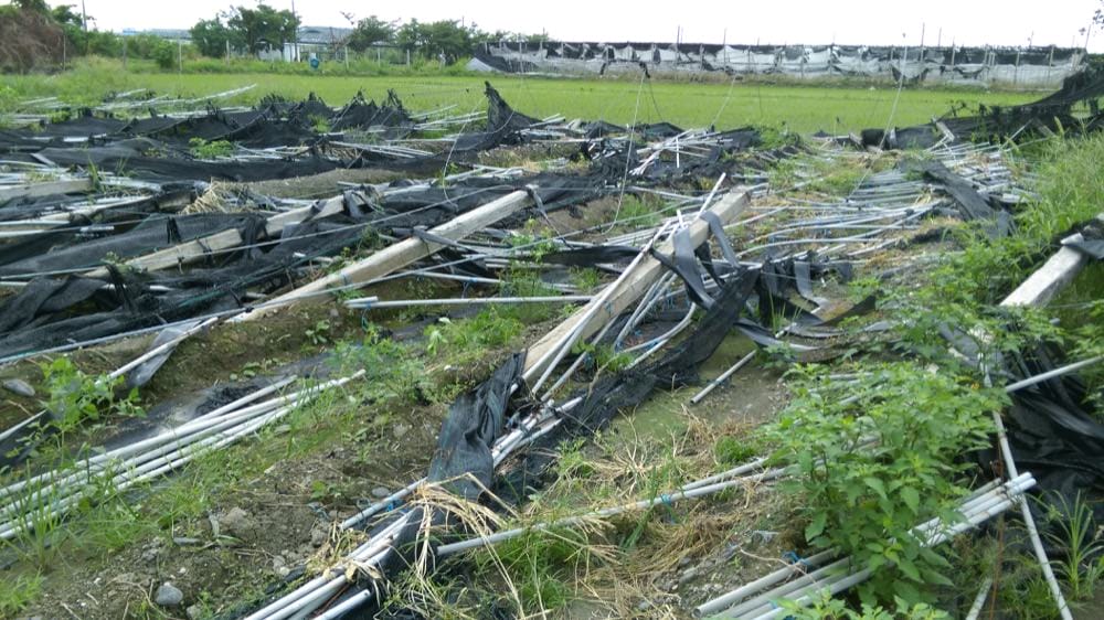 《隨筆》2016 旅遊記食 回顧 2017 追夢展望 - 第6張圖 《隨筆》2016 旅遊記食 回顧 2017 追夢展望