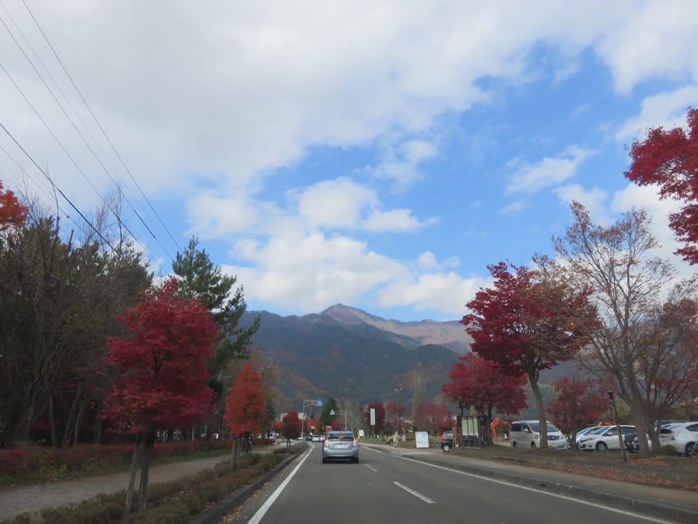 河口湖 道の駅かつやま Restaurant 公路餐廳 山藥泥飯與鍋燒麵的火花
