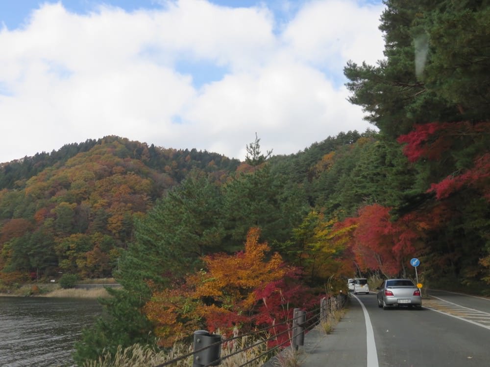 河口湖 道の駅かつやま Restaurant 公路餐廳 山藥泥飯與鍋燒麵的火花