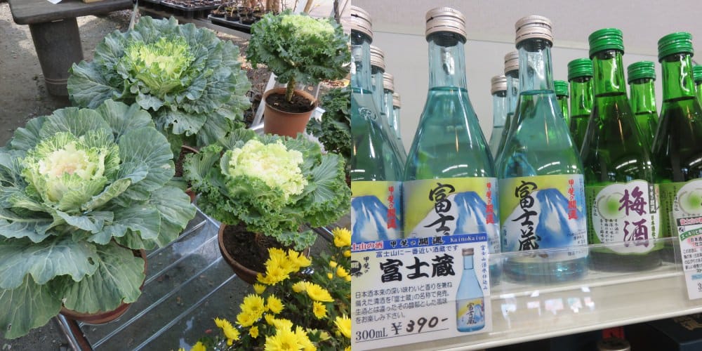 河口湖 道の駅かつやま Restaurant 公路餐廳 山藥泥飯與鍋燒麵的火花