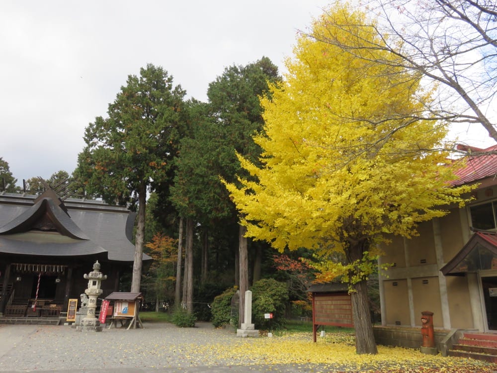 《隨筆》2016 旅遊記食 回顧 2017 追夢展望 - 第10張圖 《隨筆》2016 旅遊記食 回顧 2017 追夢展望