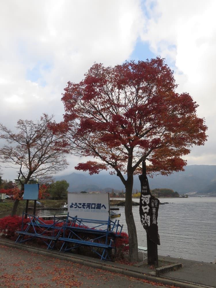 河口湖 富士御室 淺間神社 Fuji omuro sengen shrine - 第11張圖 河口湖 富士御室 淺間神社 Fuji omuro sengen shrine