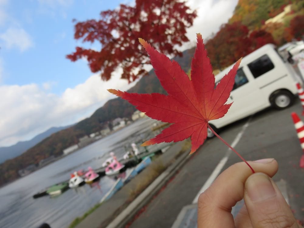 河口湖山岸旅館 ホームページ Yamagisi Ryokan 物超所值 房間