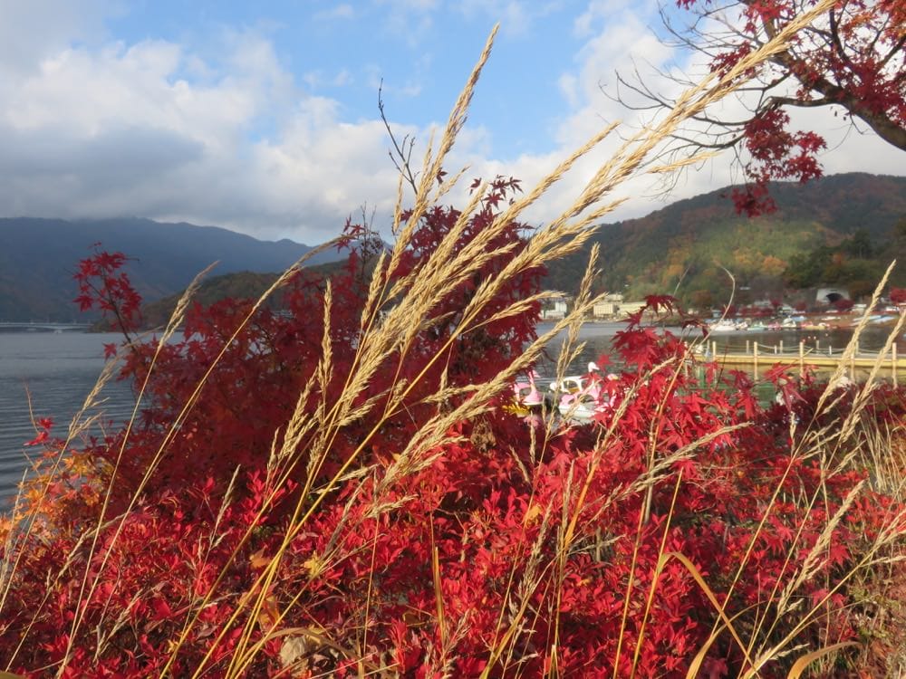 河口湖山岸旅館 ホームページ Yamagisi Ryokan 物超所值 房間