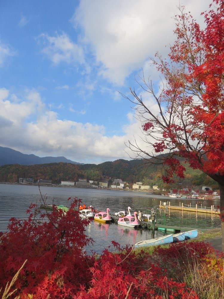 河口湖山岸旅館 ホームページ Yamagisi Ryokan 物超所值 房間