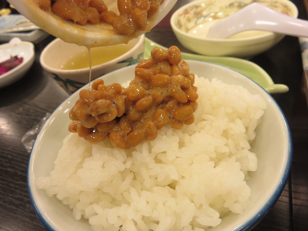 河口湖溫泉旅館 山岸旅館物美價廉Yamagisi Ryokan