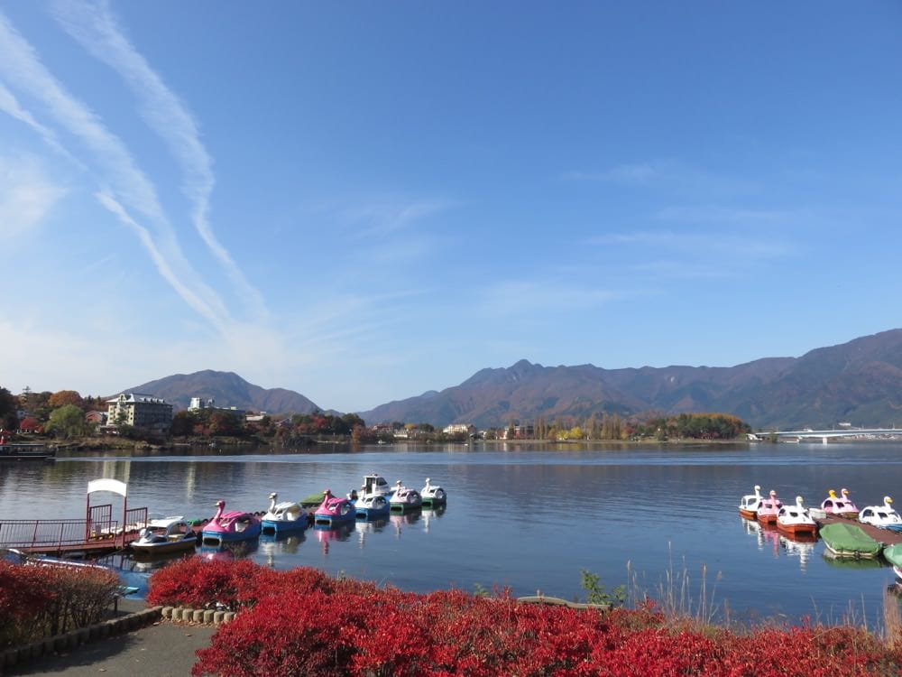 河口湖 起司蛋糕 Cheesecake garden 富士山餅乾 紅葉迴廊