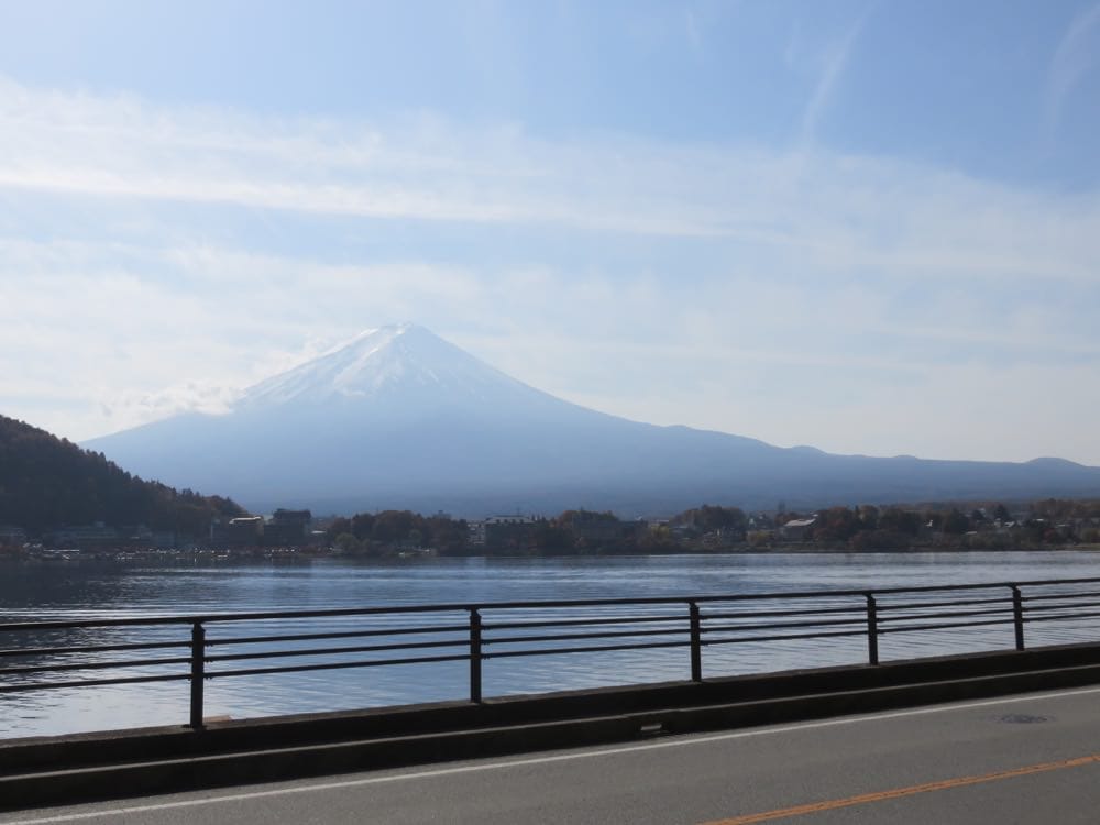 河口湖 起司蛋糕 Cheesecake garden 富士山餅乾 紅葉迴廊