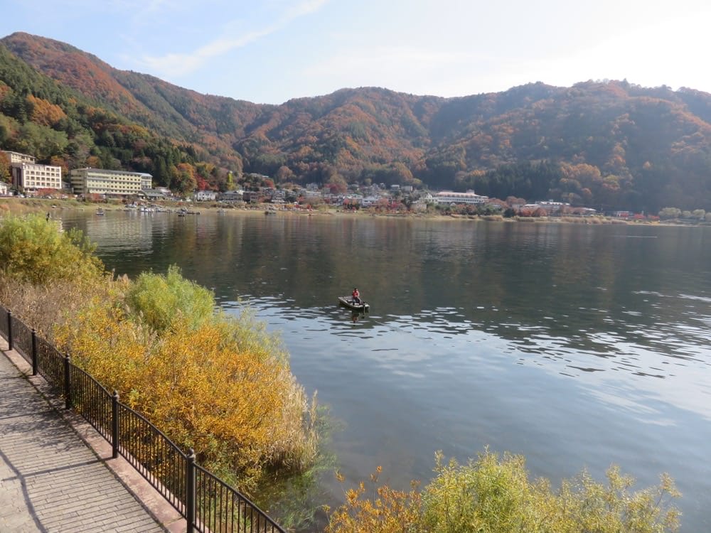 河口湖 起司蛋糕 Cheesecake garden 富士山餅乾 紅葉迴廊