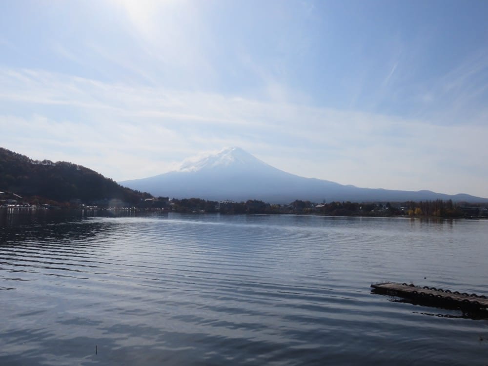 河口湖 起司蛋糕 Cheesecake garden 富士山餅乾 紅葉迴廊