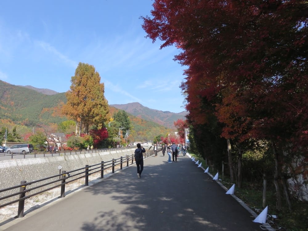 河口湖 起司蛋糕 Cheesecake garden 富士山餅乾 紅葉迴廊