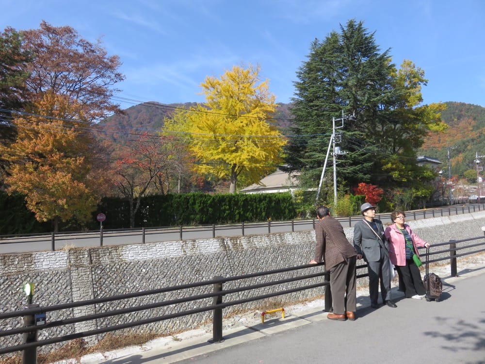 河口湖 起司蛋糕 Cheesecake garden 富士山餅乾 紅葉迴廊