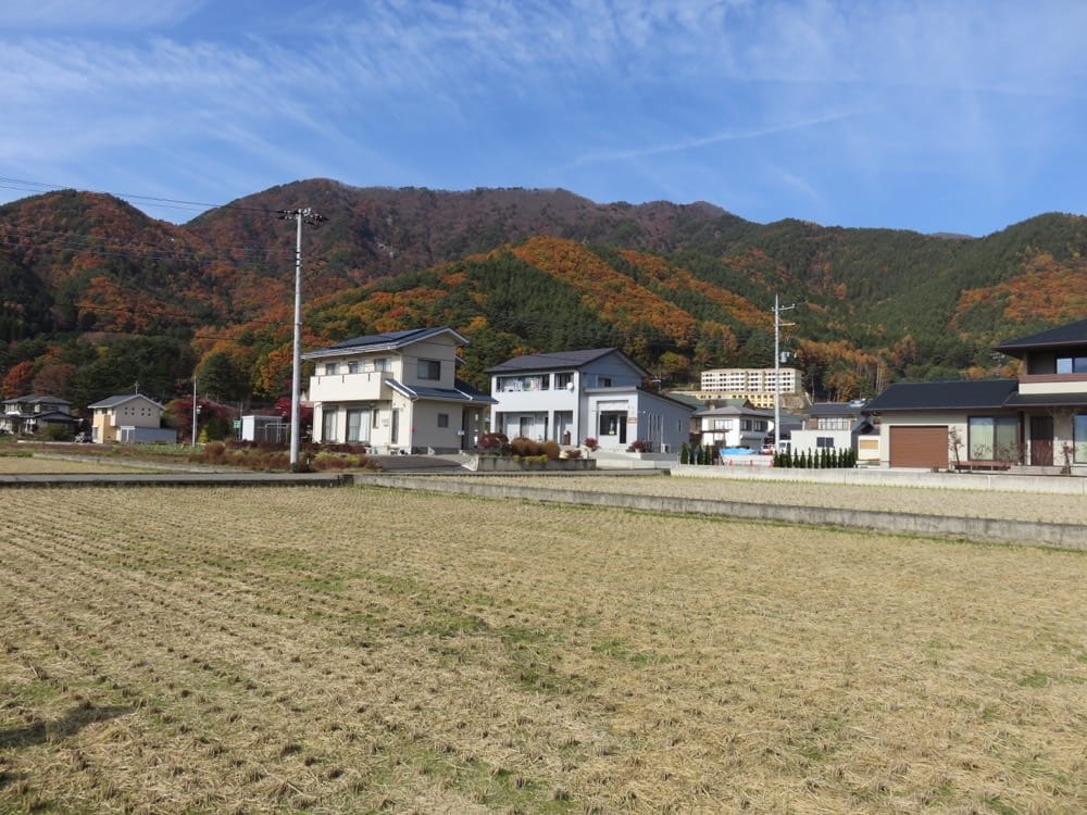 河口湖 起司蛋糕 Cheesecake garden 富士山餅乾 紅葉迴廊