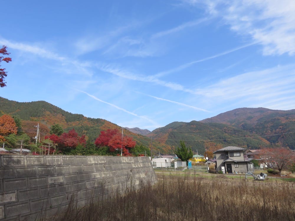 河口湖 起司蛋糕 Cheesecake garden 富士山餅乾 紅葉迴廊