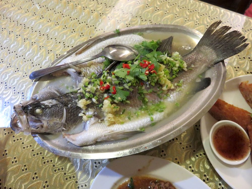 泰雅軒 Tai Ya Shiuan