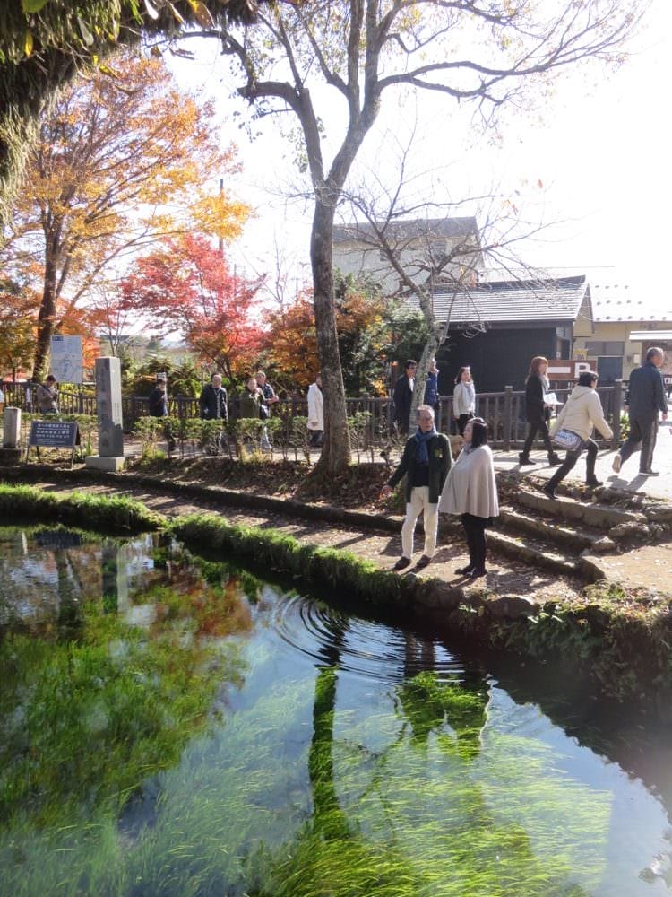 富士五湖 忍野八海 Oshino Hakkai Springs 泉水傳說