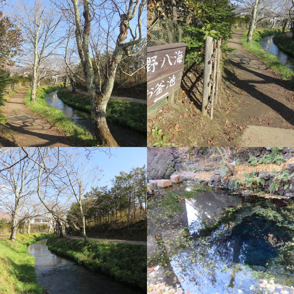 富士五湖 忍野八海 Oshino Hakkai Springs 泉水傳說