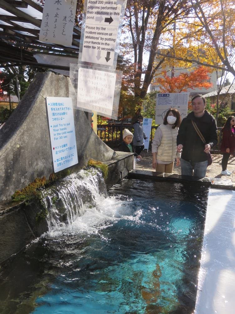 富士五湖 忍野八海 Oshino Hakkai Springs 泉水傳說