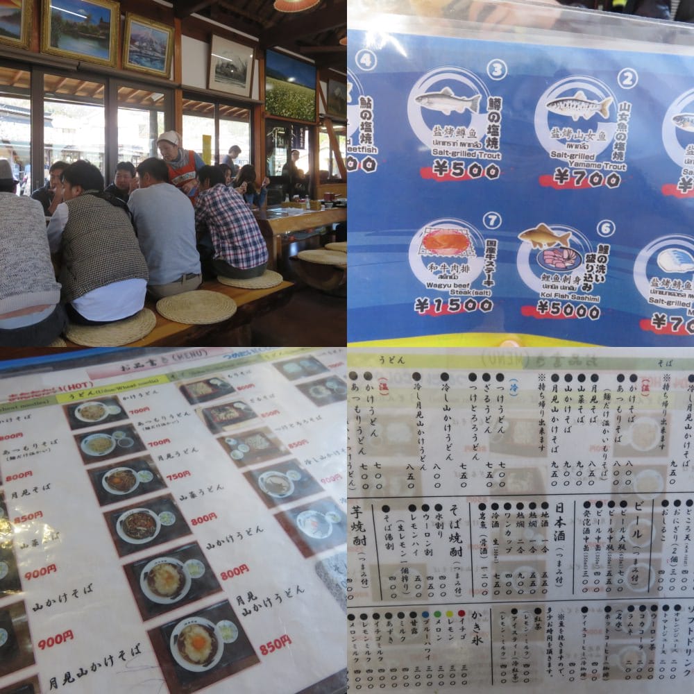 富士五湖 忍野八海 池本茶屋 Ikemotochiyaya 蕎麥麵好威