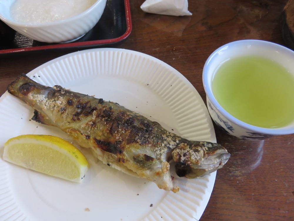 富士五湖 忍野八海 池本茶屋 Ikemotochiyaya 蕎麥麵好威