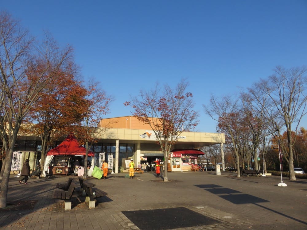 富士五湖 忍野八海 池本茶屋 Ikemotochiyaya 蕎麥麵好威